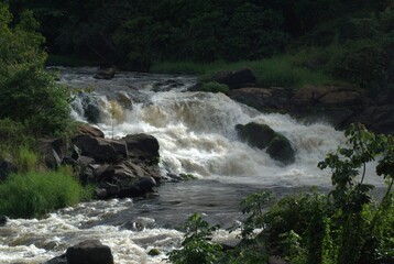 The Bolivar State in its varied geography offers us mountains, valleys, lakes, forests and above...