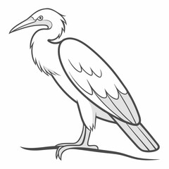 Heron Standing Tall Bird With Long Beak Vector Illustration Wildlife Design