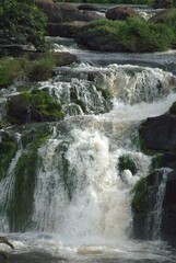 The Bolivar State in its varied geography offers us mountains, valleys, lakes, forests and above all the impressive Gran Sabana.