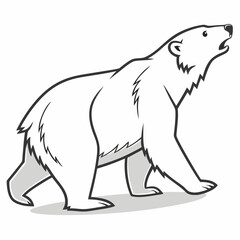 Standing Polar Bear Illustration Vector Outline Drawing On White Background