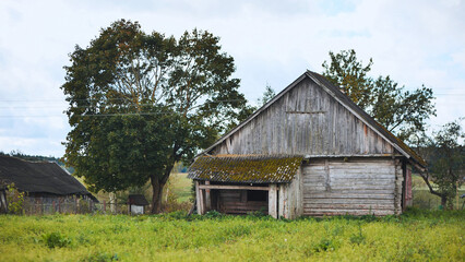 Weathered wooden barn nestled amid lush grassland, revealing structural decay and nostalgic rural...