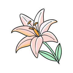 lily flower icon, lily flower vector illustration-simple illustration of lily flower, perfect for lily flower logos and icons