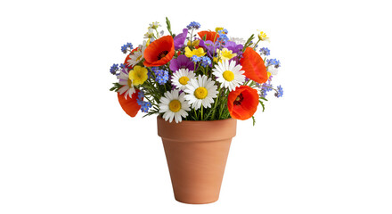 Colorful wildflower bouquet terracotta pot