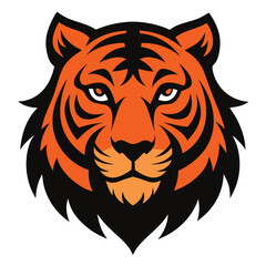 Angry tiger,Sumatran tiger beautiful animal and his portrait