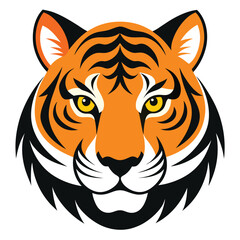 Angry tiger,Sumatran tiger beautiful animal and his portrait