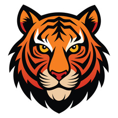 Angry tiger,Sumatran tiger beautiful animal and his portrait