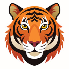 Fototapeta premium Angry tiger,Sumatran tiger beautiful animal and his portrait