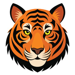 Angry tiger,Sumatran tiger beautiful animal and his portrait