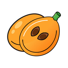 loquat fruit icon, loquat fruit vector illustration-simple illustration of loquat fruit, perfect for loquat fruit logos and icons