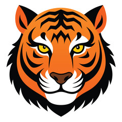 Angry tiger,Sumatran tiger beautiful animal and his portrait