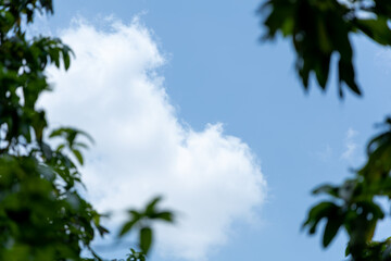 Fototapeta premium Fluffy Clouds Against a Vibrant Blue Sky