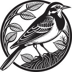 White Wagtail silhouette vector design