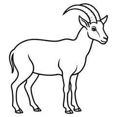 Obraz premium Minimalist Ibex Line Drawing
