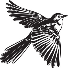 Naklejka premium White Wagtail silhouette vector design