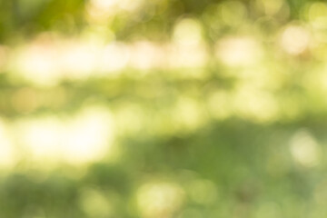 Abstract Bokeh Background of Lush Green Leaves