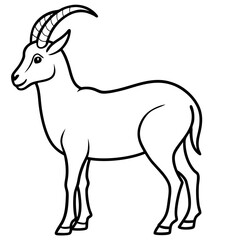 Minimalist Ibex Line Drawing