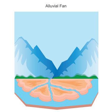 An alluvial fan is a fan shaped deposit of sediment formed where a stream slows down and spreads out, typically at the base of mountains or hills.Geographical illustration.
