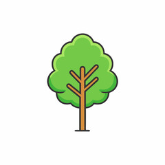 green tree isolated on white background