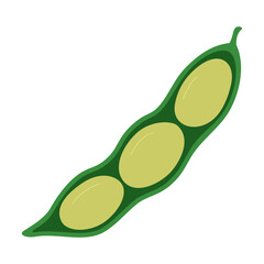 Soybean pod with seeds inside