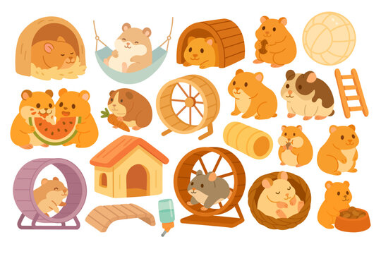 Cute hamsters and accessories set flat vector illustration