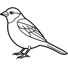 Minimalist Sparrow Line Art Vector