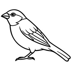 Minimalist Sparrow Line Art Vector