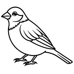 Minimalist Sparrow Line Art Vector