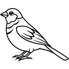 Minimalist Sparrow Line Art Vector