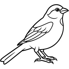 Minimalist Sparrow Line Art Vector