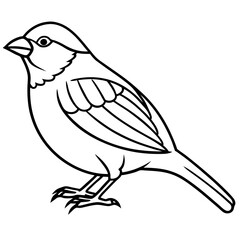 Minimalist Sparrow Line Art Vector