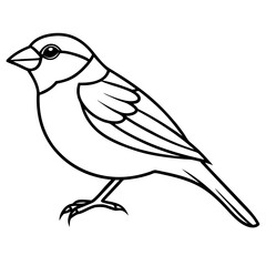 Minimalist Sparrow Line Art Vector