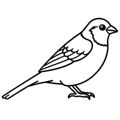 Minimalist Sparrow Line Art Vector