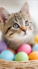 Playful cat surrounded by colorful eggs in an Easter basket ready for a joyful celebration