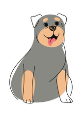 Rottweiler hand drawn dog animal