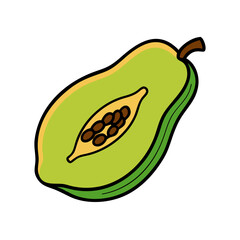 pawpaw fruit icon, pawpaw fruit vector illustration-simple illustration of pawpaw fruit, perfect for pawpaw fruit logos and icons