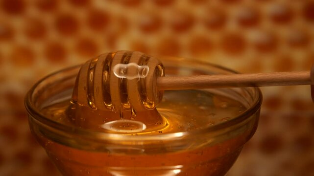 Filling wooden stick with honey
