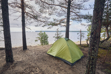 Tourist tent in a pine forest on the shore of a lake © ILIA