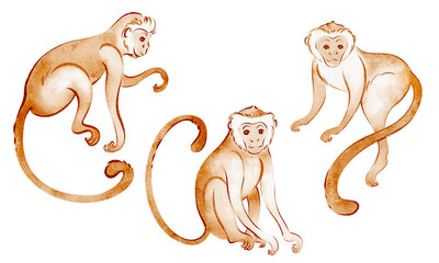 Collection of hand drawn macaque monkeys in watercolor. Set of wild animals, primates, and tropical creatures. Perfect for safari-themed decor, stickers, or nursery illustrations.