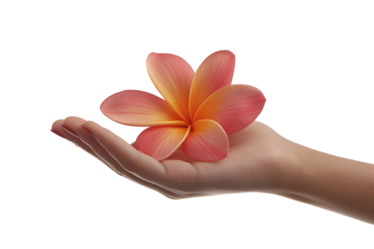 Hand with a blooming flower isolated on a white background