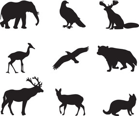 Obraz premium Animals with birds vector silhouette
