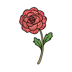 Fototapeta premium ranunculus flower icon, ranunculus flower vector illustration-simple illustration of ranunculus flower, perfect for ranunculus flower logos and icons
