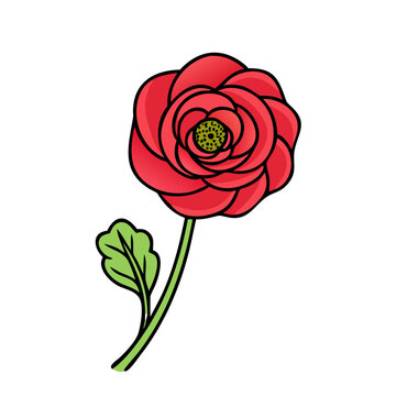 recommend clip art: ranunculus flower icon, ranunculus flower vector illustration-simple illustration of ranunculus flower, perfect for ranunculus flower logos and icons