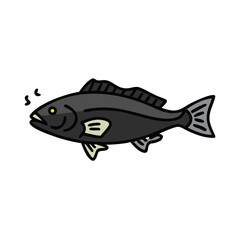 sablefish black cod icon, sablefish black cod vector illustration-simple illustration of sablefish black cod, perfect for sablefish black cod logos and icons