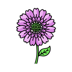 scabiosa flower icon, scabiosa flower vector illustration-simple illustration of scabiosa flower, perfect for scabiosa flower logos and icons
