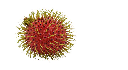 Vibrant rambutan fruit macro photography