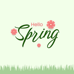 Hello spring greeting with three pink flowers and green grass