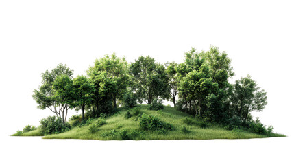 Lush green forest landscape isolated on white background