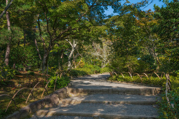 Alley in the Japanese garden of the Tenryu-ji Buddhist Temple on a sunny autumn day, Kyoto, Ukyo Ward, Japan