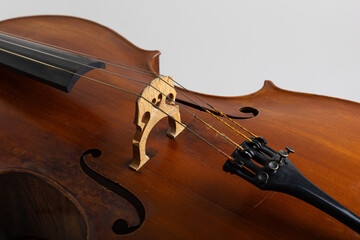 Detailed studio close-up of a classical cello showing the body and strings, photographed on a clean white background. The image highlights the fine wood grain, curved shape, and craftsmanship of the i