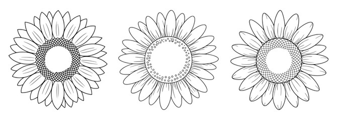 Hand Drawn Sunflower Blossom Illustration Set